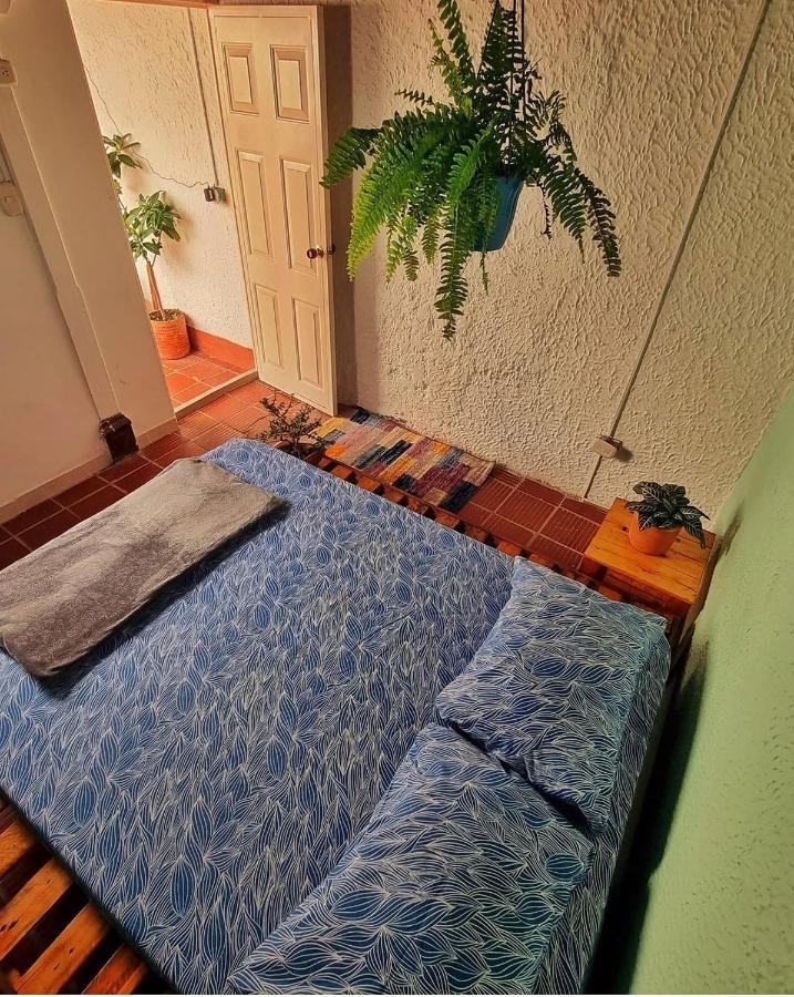 Tatami Hostel บูการามังกา ภายนอก รูปภาพ